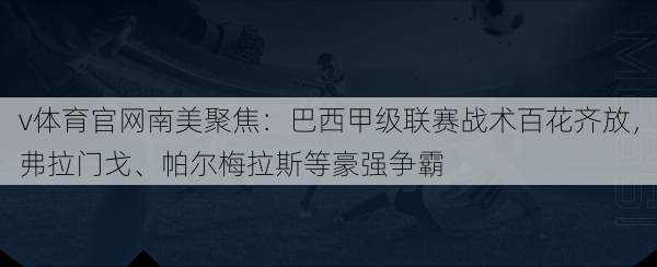 v体育官网南美聚焦：巴西甲级联赛战术百花齐放，弗拉门戈、帕尔梅拉斯等豪强争霸