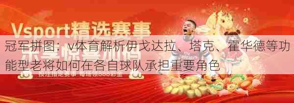 冠军拼图：v体育解析伊戈达拉、塔克、霍华德等功能型老将如何在各自球队承担重要角色