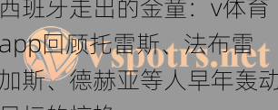 西班牙走出的金童：v体育app回顾托雷斯、法布雷加斯、德赫亚等人早年轰动足坛的惊艳